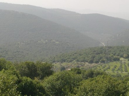 عنوان_الموقع