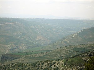 معركة_اليرموك