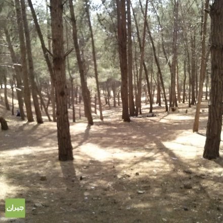 منتزه_عمان_القومي